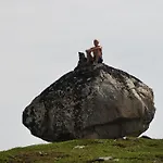팜스테이 Rongen Gard Bolstadøyri