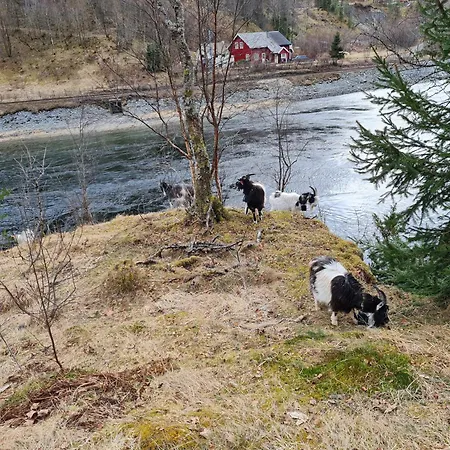 Rongen Gard * Bolstadøyri