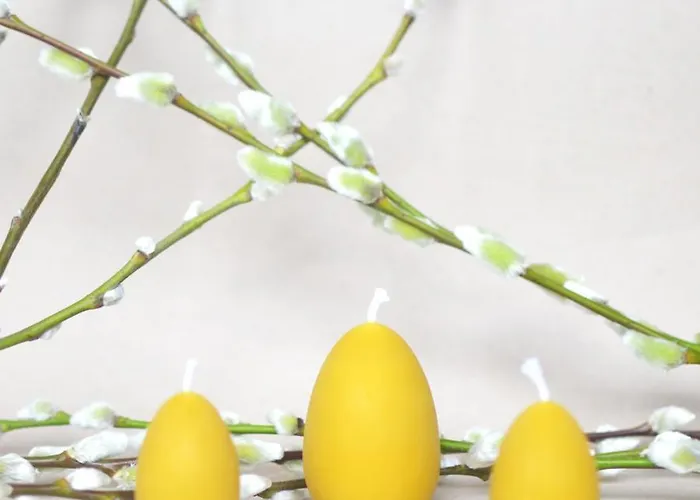 荣荣嘉德农家乐 农家乐 *