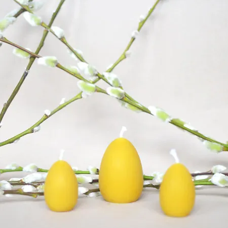 Rongen Gard Feriegård *