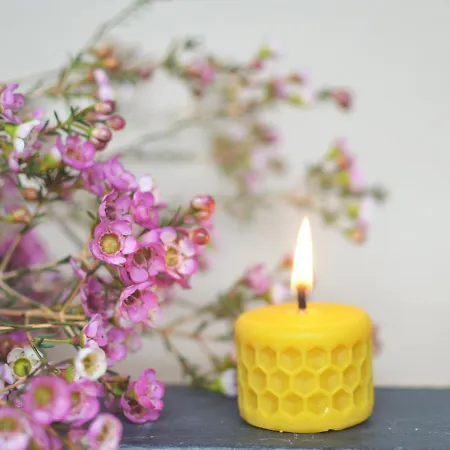 Feriegård Rongen Gard *