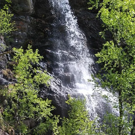 Rongen Gard Feriegård *