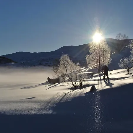 Feriegård Rongen Gard *