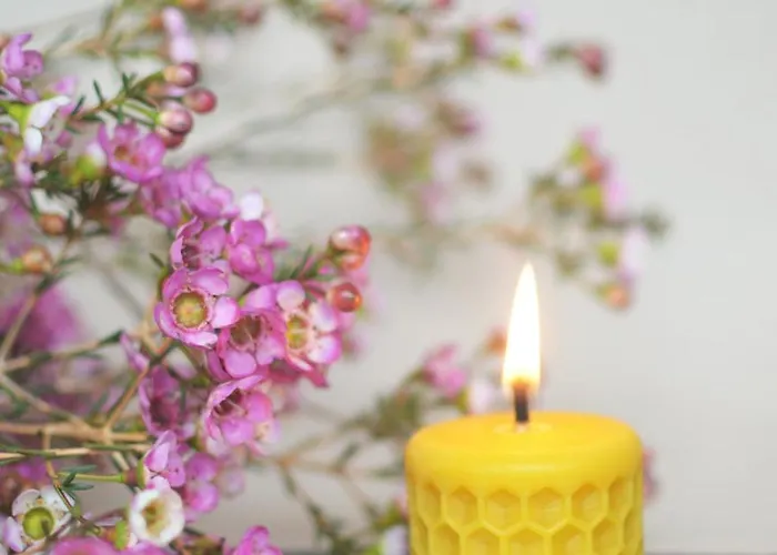 Lantgård Rongen Gard *